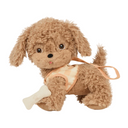 Dinkum Dogs | Goldie / Gold-Olli Ella- Tiny Trader - Gold Coast Baby Shop