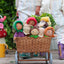 Dinky Dinkum Doll | Ellis Eggplant-Olli Ella- Tiny Trader - Gold Coast Baby Shop