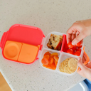 Mini Lunch Box | Graphite-B.box- Tiny Trader - Gold Coast Baby Shop