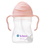 Sippy Cup | Tutti fruit-B.box- Tiny Trader - Gold Coast Baby Shop